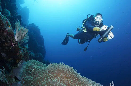 Reef Snorkeling with Aqua-Jets Reef Snorkeling with Aqua-Jets