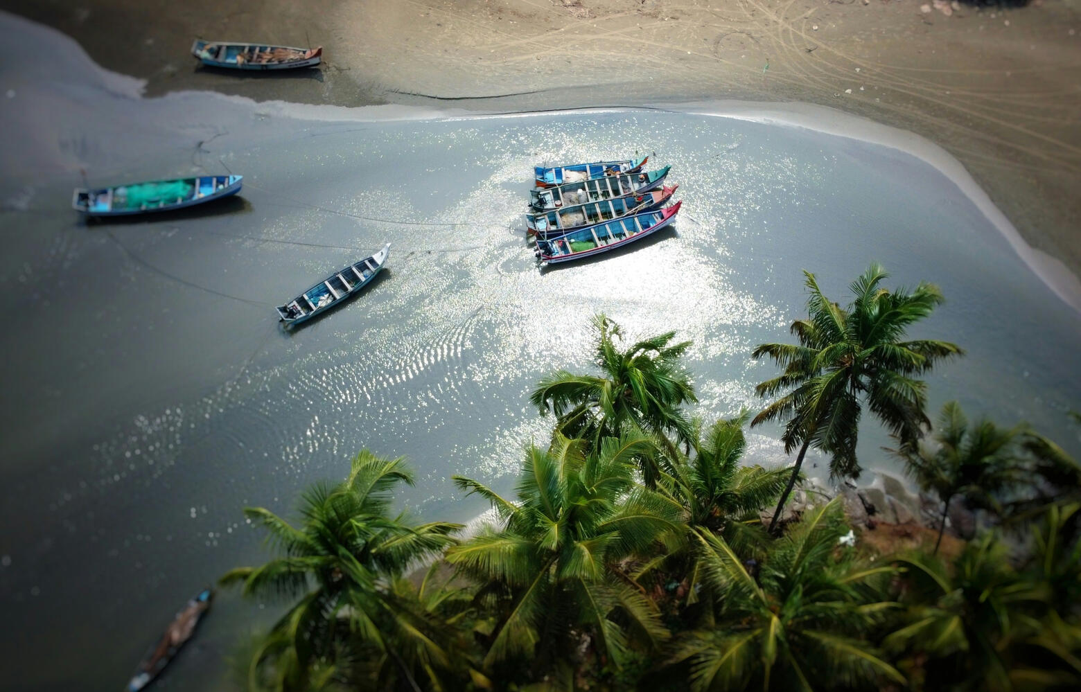 Low Tide Harvest Low Tide Harvest