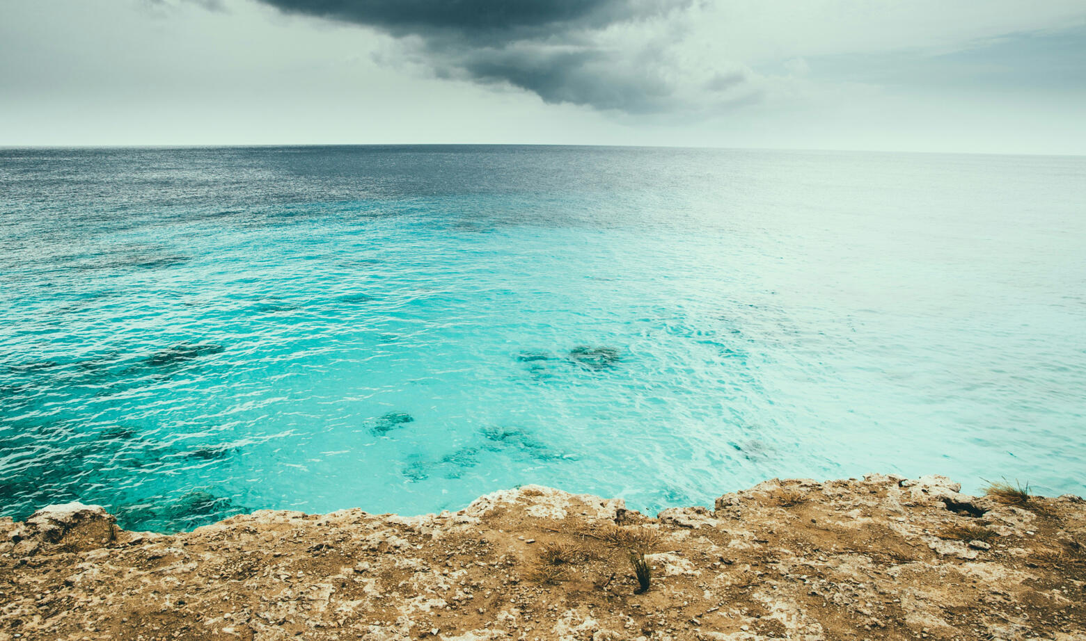 Secluded Swim Secluded Swim