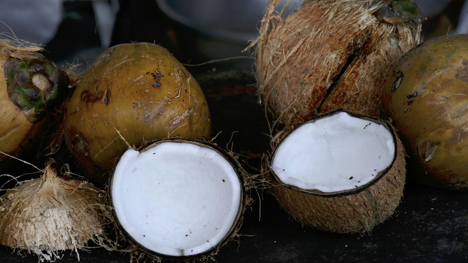 Coconut Moon Bath Coconut Moon Bath