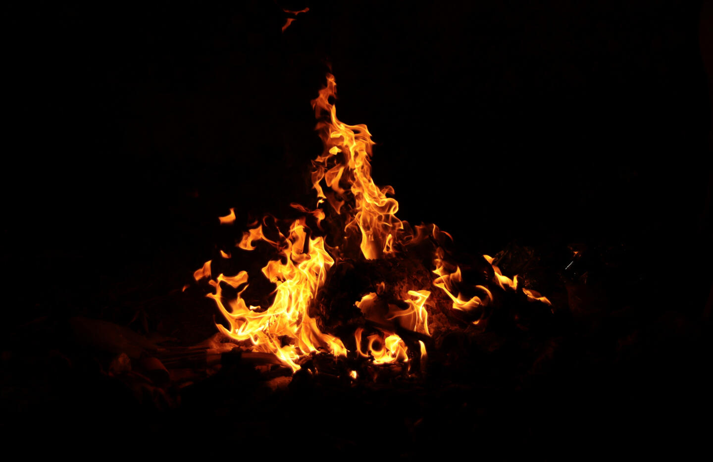 Cambaya Beach Resort Local Rum & Story Hour Cambaya Beach Resort Local Rum & Story Hour