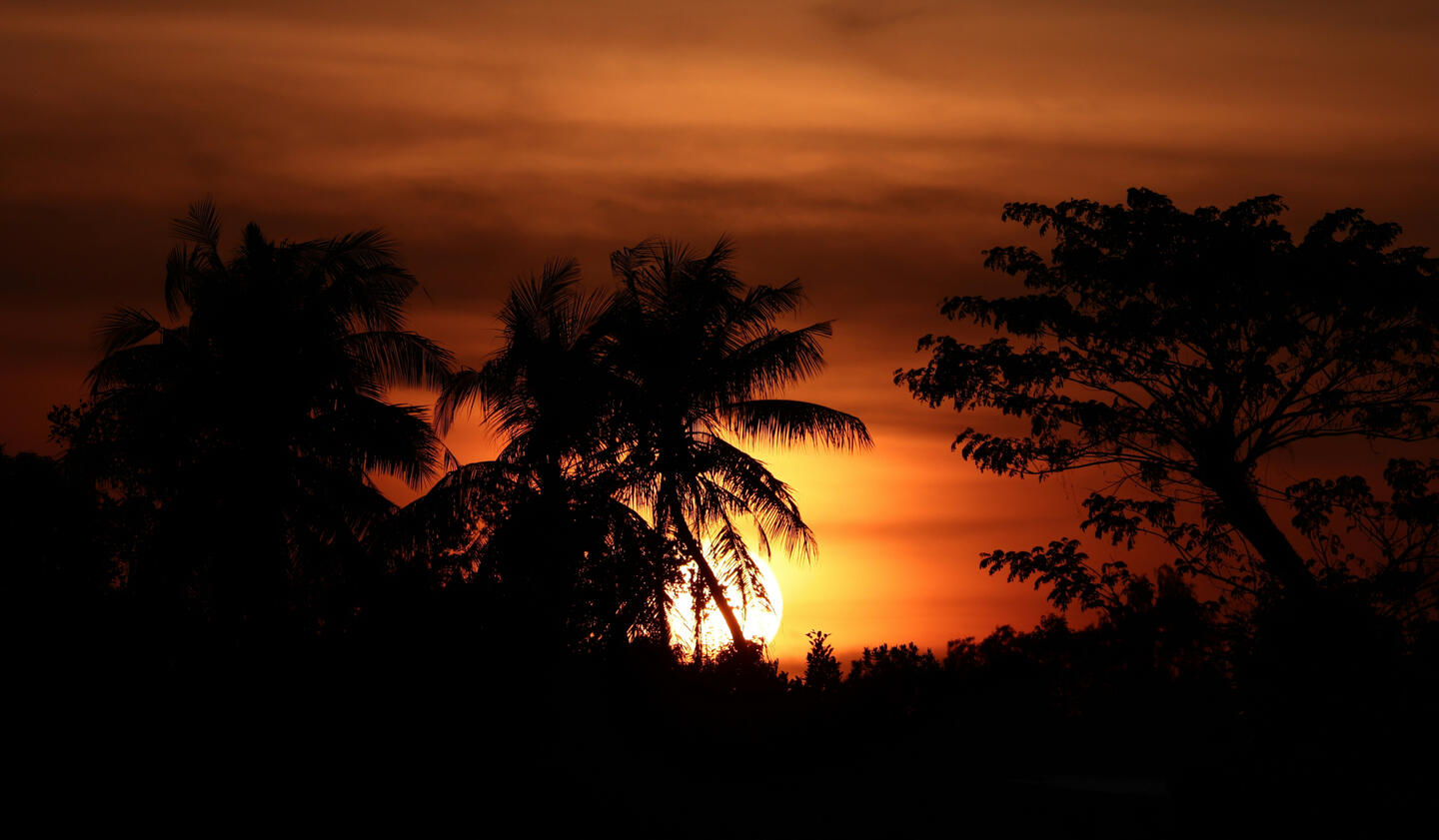Cambaya Beach Resort Night Walk Cambaya Beach Resort Night Walk